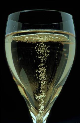 Vitesse d'un bouchon de Champagne - La Feuille de Vigne